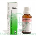 Dr. Reckeweg R32 (Perspiration)